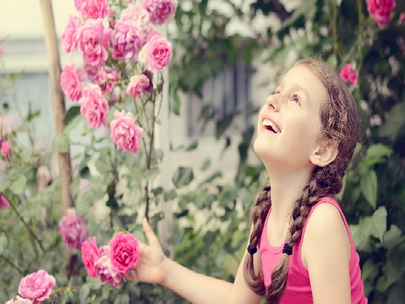 无菌试管10ml,人工授精广州费用